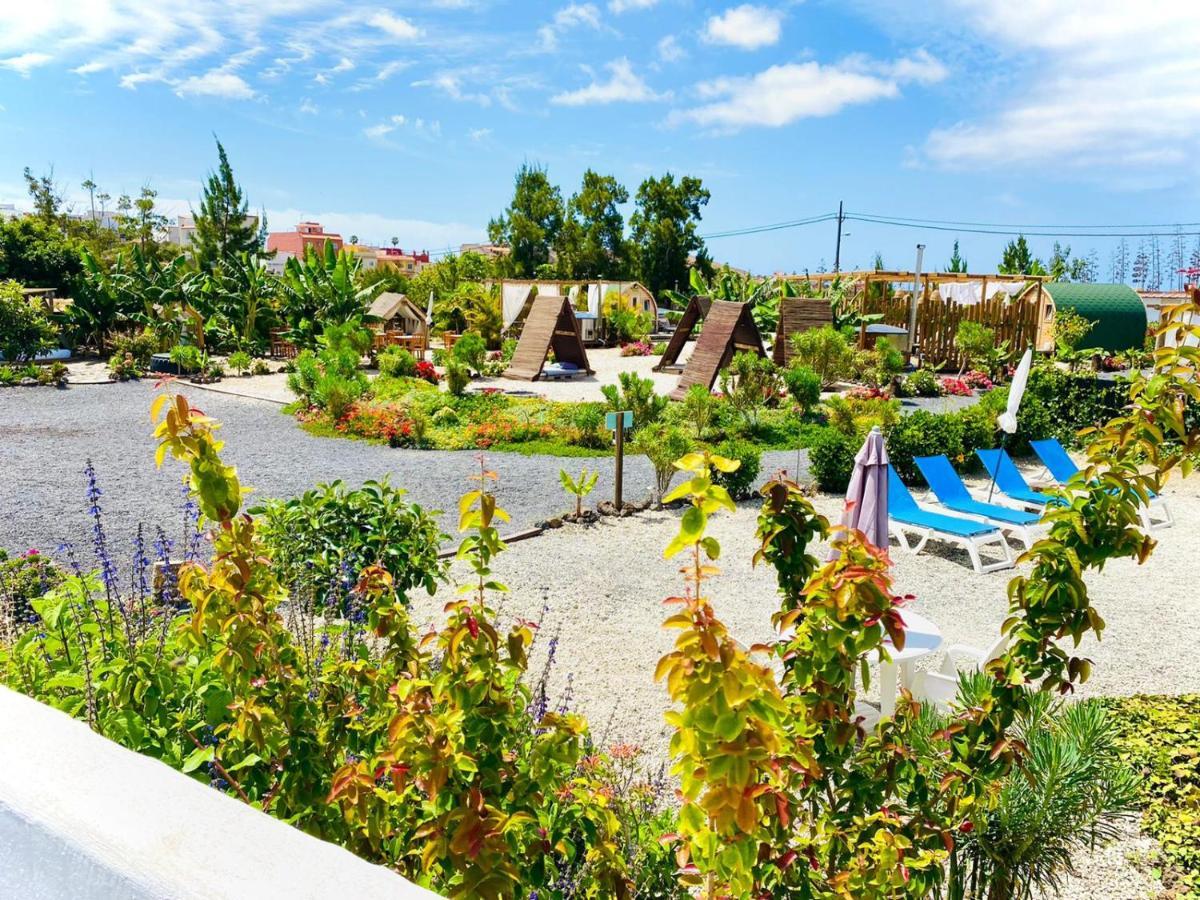 Arrebol Suite Con Jacuzzi, Piscina Y Naturaleza Buzanada Exteriör bild